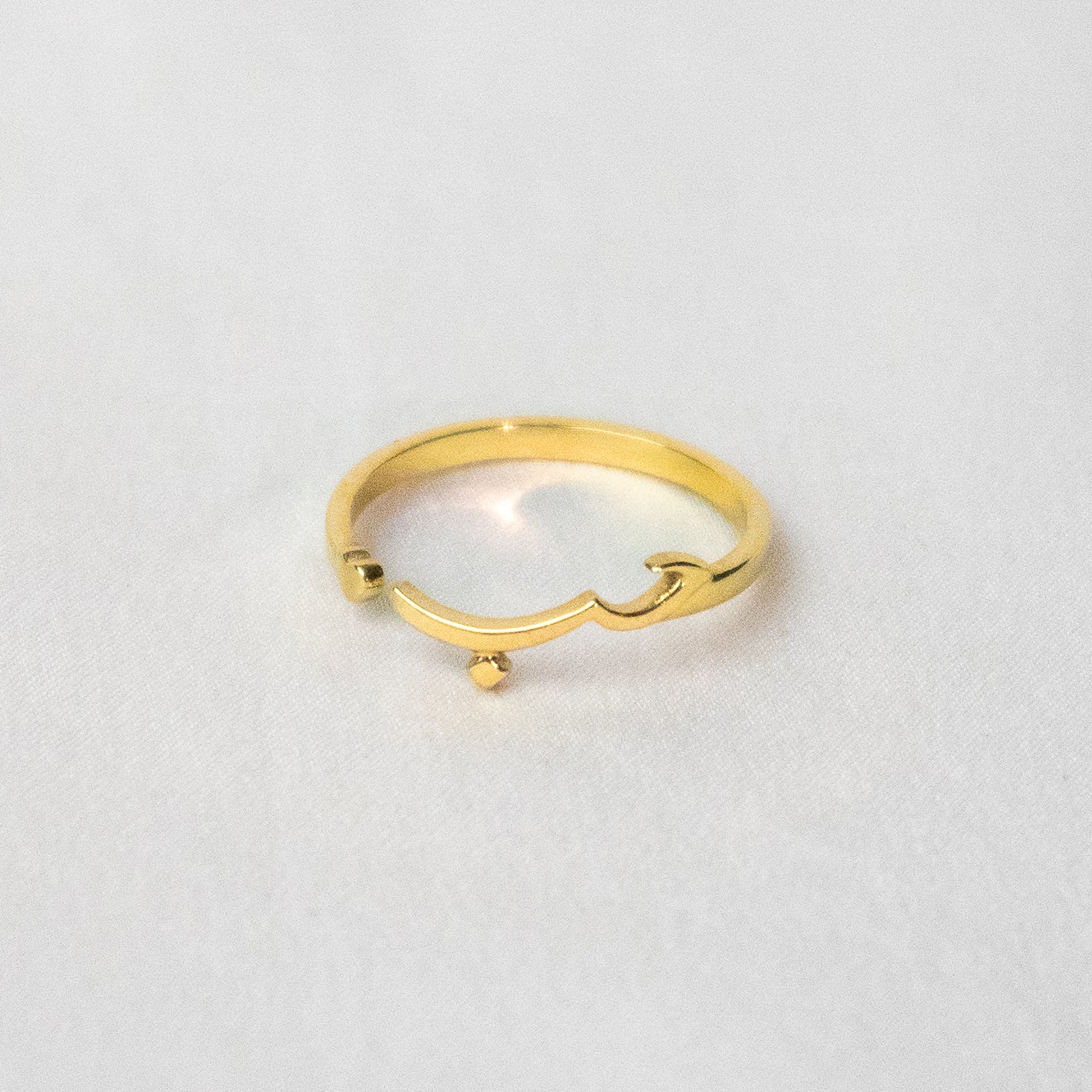 Hubb Ring